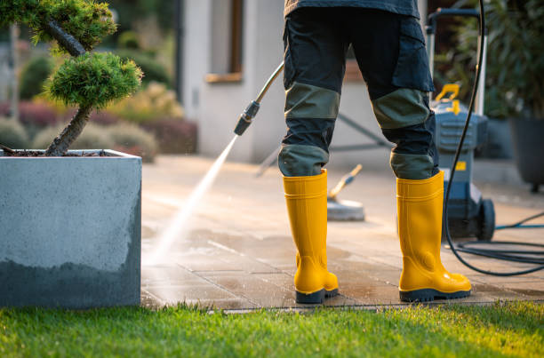 Best Roof Pressure Washing  in Belleair Bluffs, FL